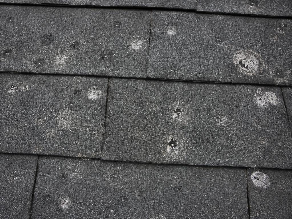 Close-up of hail impact marks on asphalt shingles